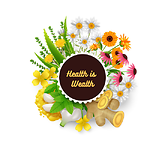 Health is Wealth