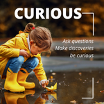 Ask questions Make discoveries be curious