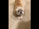 Current Videos
