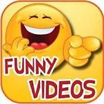 funnyvideos361