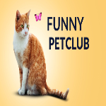 Funny Petclub