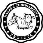 Haras e Confinamento Profeta