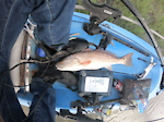 2buckfishing