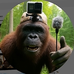 bigfootdailyvlog
