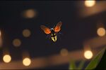 Bursts of Truth from a Light-emitting Crusade-Winged Fellow