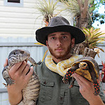 Shadow’s Reptiles
