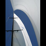 Sailing Trimaran