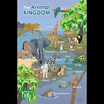 Animal Kingdom