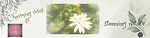 Charmingroses&stunningnature