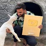 Pet videos creator