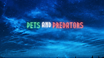 "Wild Harmonies: Exploring the Dynamic World of Pets and Predators"