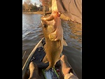 Bass Cam Fishing!