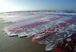 Freedom Chamber