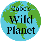 Gabe's Wild Planet