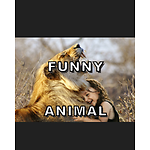 Funny animal