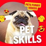 FUNNY Pet Skills