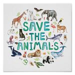 Animals Earth