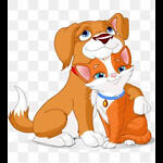 Cute Cat And Dogs