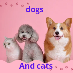 cool channel channel dogs and cats