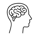 Curious Minds&Unveiling Knowledge
