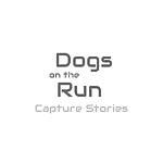 dogsontherun