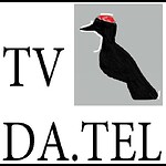 TV Datel