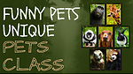 Pets Class