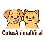 CutesAnimalViral – Daily Funny & Cute Animal Videos