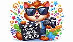 Funny Animal Videos