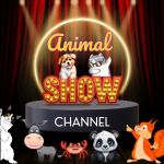 ANIMAL SHOW CHANNEL