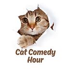 Cat Comedy Hour