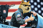 TheDogebird