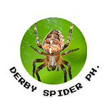 Derby Spider Ph
