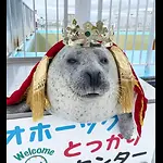 Top 10 Anime Battles Records