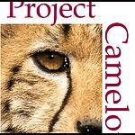 Official Project Camelot Classic Archive