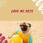 CUTEST ANIMALS IN THE WORLD