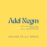 Adel Negm