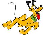Dog TV 706
