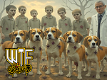 WTF LIVE Episodes