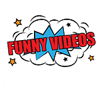 Funny videos for all