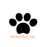 Beautiful cats in a short video