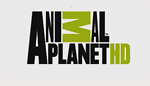 Animal planet