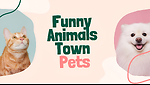 Funny Animals Town