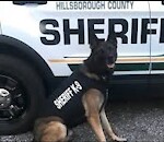 RidingWithK9