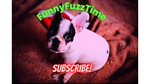 FunnyFuzzTime