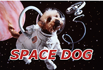 Space Dog