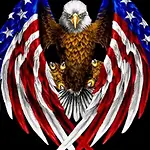 Patriot Underground & Patriots