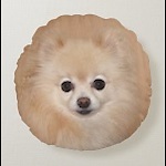 DoggoWoggo
