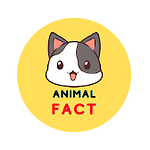 Funny Animal Facts