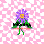 NIRVANA TRIP REPORT